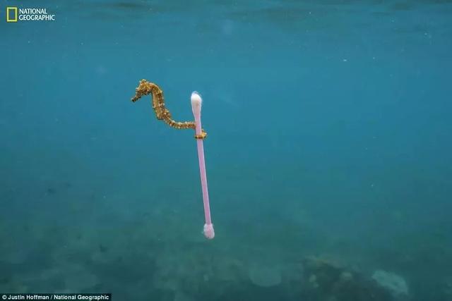 《國(guó)家地理》聚焦 “塑料星球”,人類(lèi)之殤!