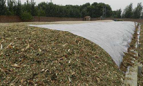 關(guān)注丨珠穆朗瑪峰成了一座“垃圾峰”？