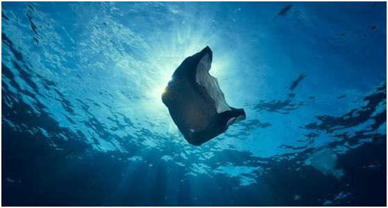 恒譽(yù)環(huán)保：引領(lǐng)“塑料回收”新時(shí)代，助力解決塑料污染